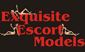 1 Exquisite Singapore Escort Models Escort Services