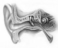 Digital Hearing Aid Centre