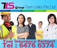 Terri Links Pte Ltd