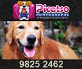 Picatso Photographs