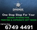 Diverse Solutions