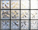 Safety Glass Services Pte Ltd