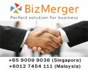 BizMerger