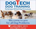 DogTech Dog Training