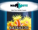 Mad Petz Aquatic Supply