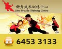 Sino Wushu Training Centre