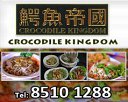 Crocodile Kingdom