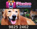 Picatso Photographs