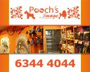 Pooch's Image