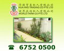 Hua Hng Trading Co Pte Ltd