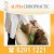 Alpha Chiropractic Pte Ltd