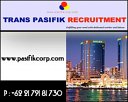 Trans Pasifik Recruitment