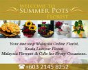 SUMMER POTS FLORIST